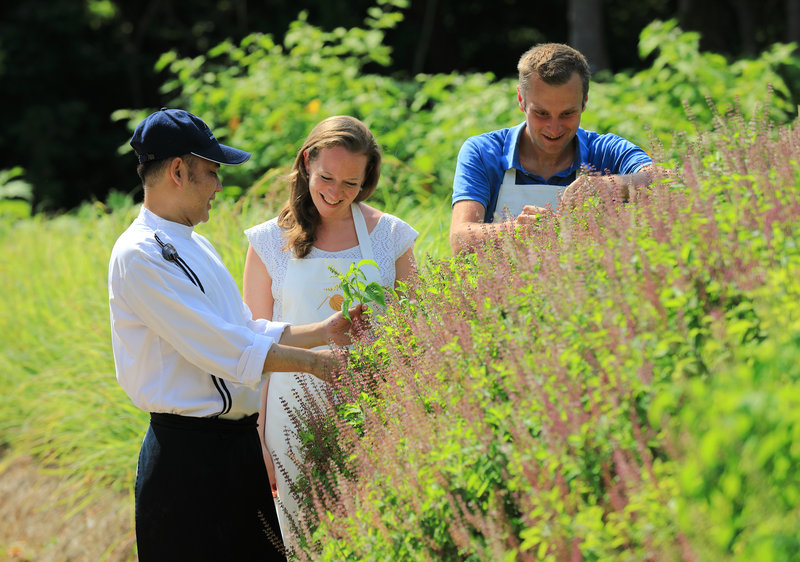 Cooking Class - Herb Picking