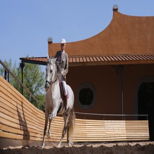 Reschio Estate - Equestrian Centre