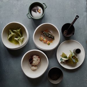Dish