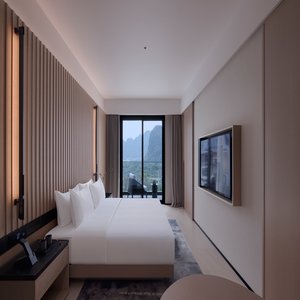 Mountain View King Room