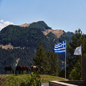 Grand Forest Metsovo