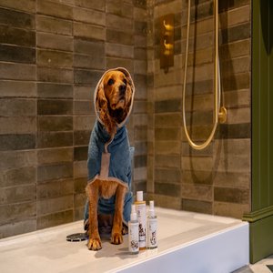 A special dog wash for pampered pups