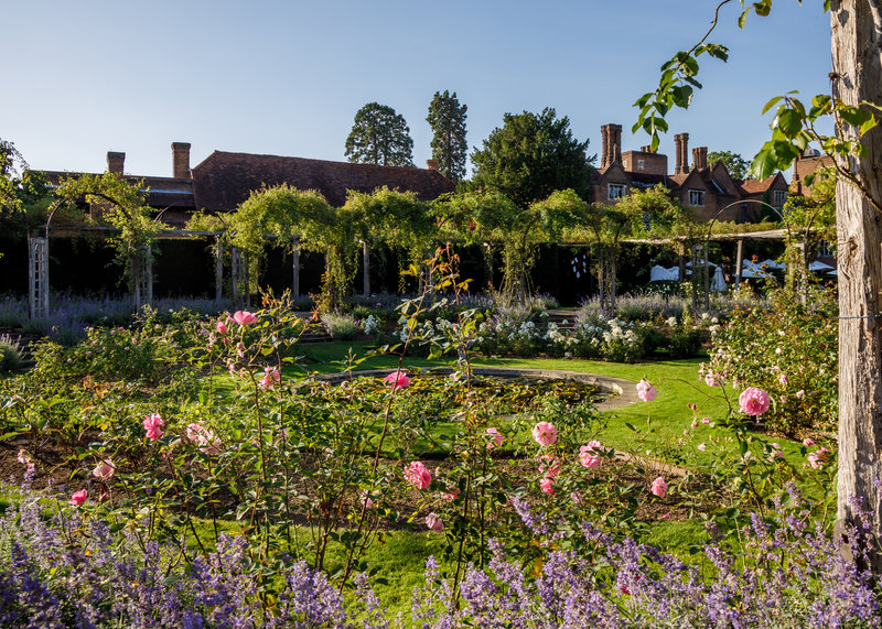 The Rose Garden at Great Fosters