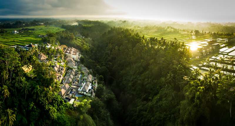 Viceroy Bali - Aerial View