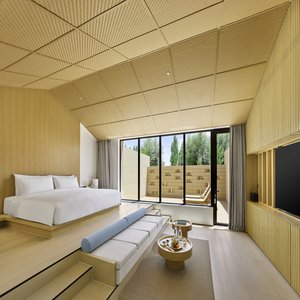 Premium Terrace Suite