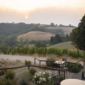 Vineyard Aperitif