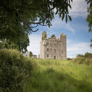 Lemenagh Castle