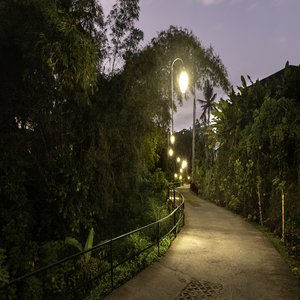 Pathway