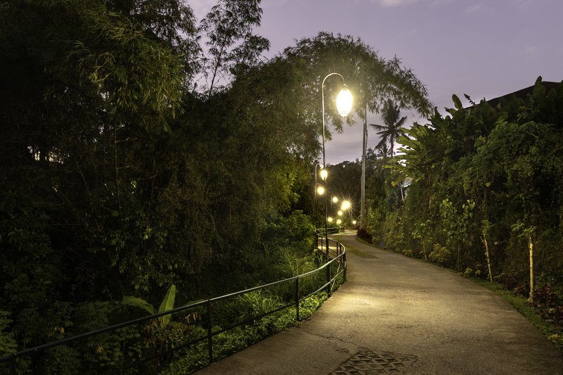 Pathway