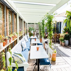 The Terrace