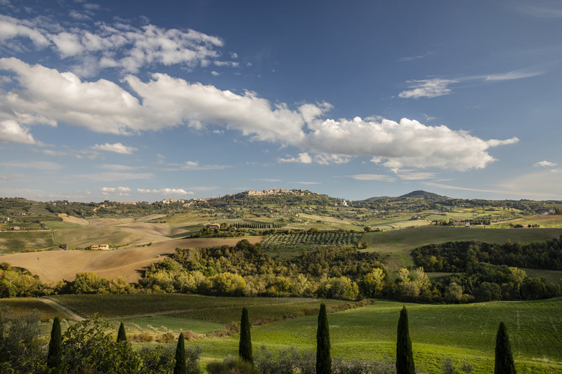View Montepulciano Day