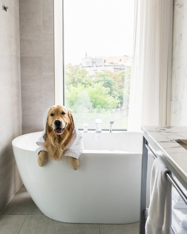 Pet friendly - Bathtub