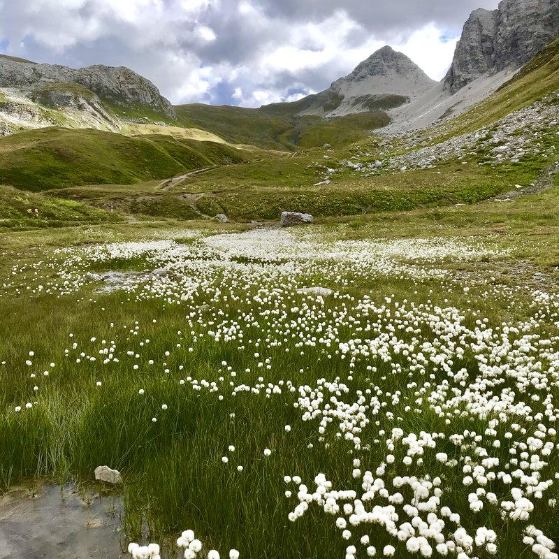 Lech Summer Destination