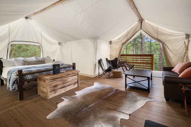 Suite Tent - Immersed in Pine Trees