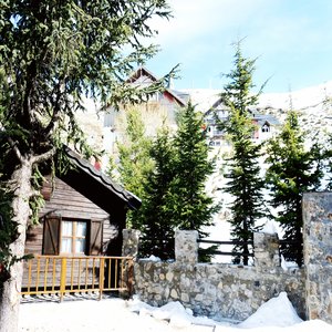 The Cabin exterior