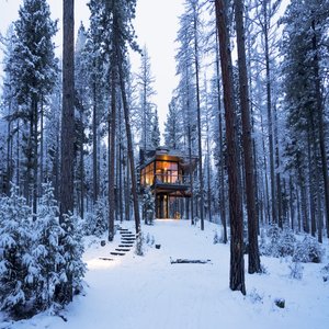 Tree Haus Exterior Winter