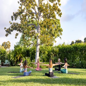 Complimentary Wellness Classes