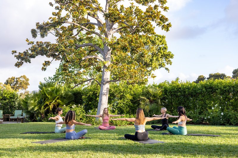 Complimentary Wellness Classes