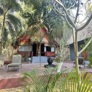 Jungle Spa