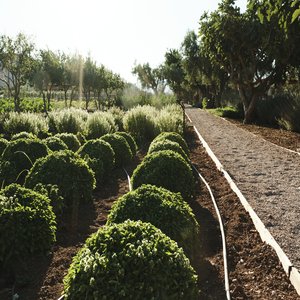 The Margi Farm
