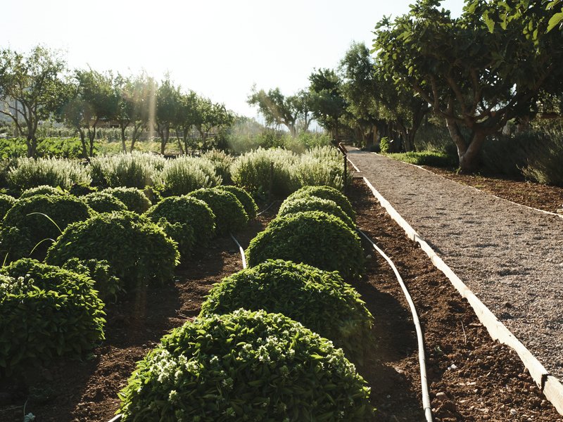 The Margi Farm