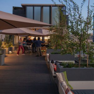 La Terraza Bar Scene