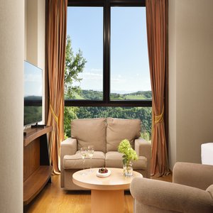 Deluxe Room - Living Area