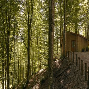 Loft In The Forest - Exterior