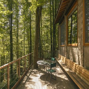 Loft In The Forest - Terrace