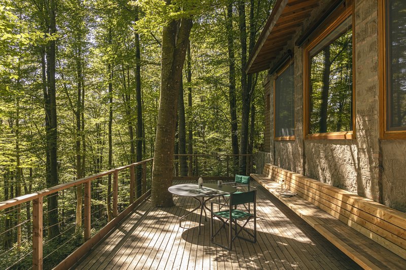 Loft In The Forest - Terrace
