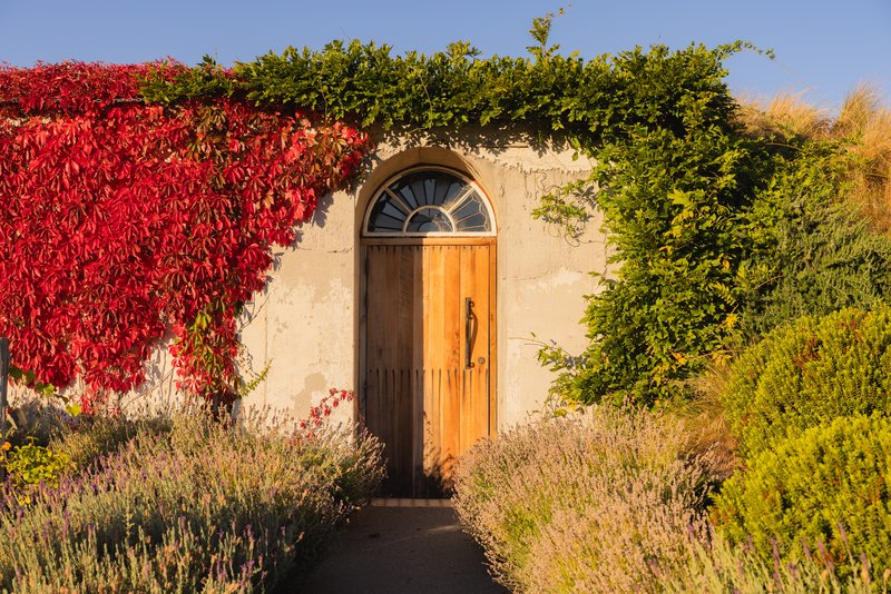 The Observatory & Wine Cellar