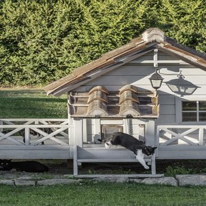 Pomaio House Exteriors LR