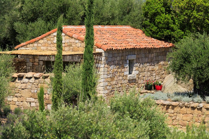 Mandarina - Exterior